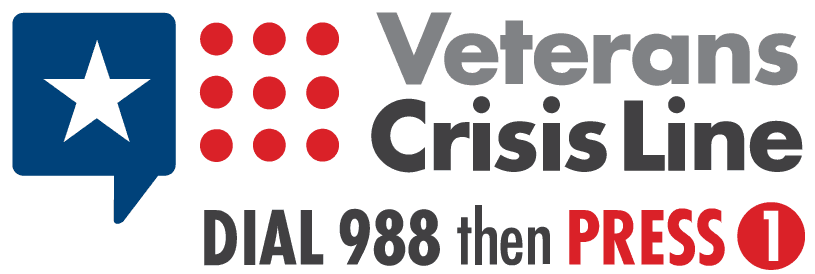 Veteran Suicide Awareness Special Edition - Set of 4 Cornhole bags