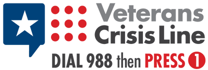 Veteran Suicide Awareness Special Edition - Set of 4 Cornhole bags